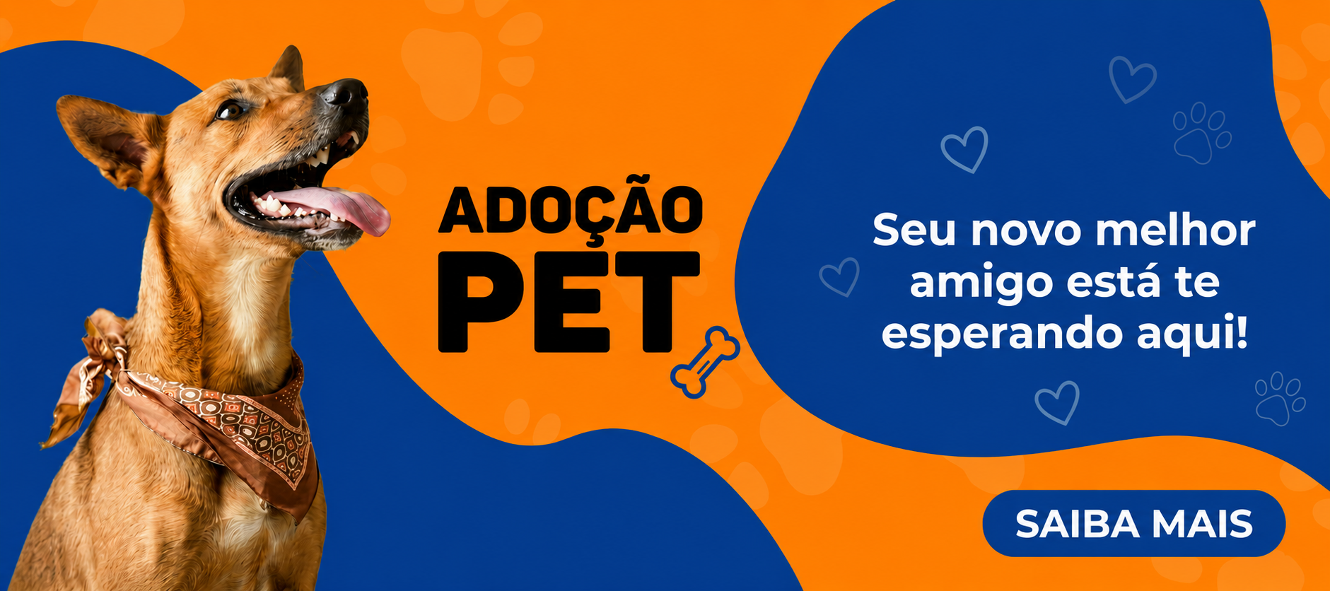 Carrossel 2 (Adoção)